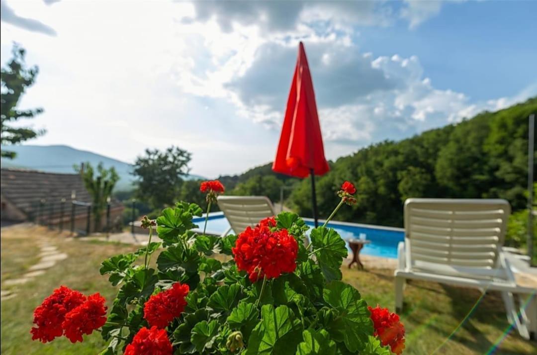 Honey House Villa Grabovac  Dış mekan fotoğraf